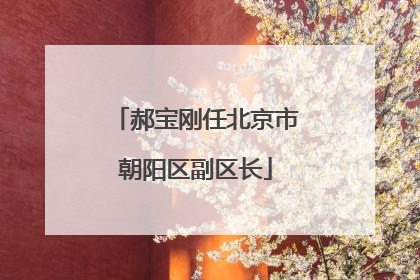 郝宝刚任北京市朝阳区副区长