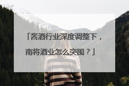 酱酒行业深度调整下，南将酒业怎么突围？