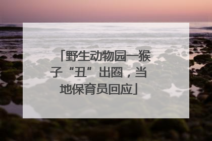 野生动物园一猴子“丑”出圈，当地保育员回应