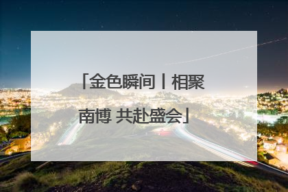 金色瞬间丨相聚南博 共赴盛会