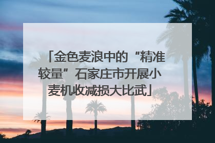 金色麦浪中的“精准较量”石家庄市开展小麦机收减损大比武