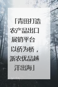 青田打造农产品出口展销平台 以侨为桥，浙农优品越洋出海