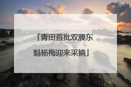 青田首批双膜东魁杨梅迎来采摘