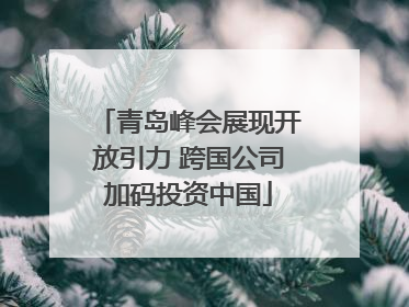 青岛峰会展现开放引力 跨国公司加码投资中国