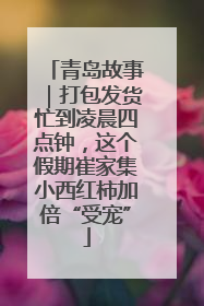 青岛故事｜打包发货忙到凌晨四点钟，这个假期崔家集小西红柿加倍“受宠”
