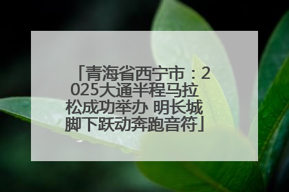 青海省西宁市：2025大通半程马拉松成功举办 明长城脚下跃动奔跑音符