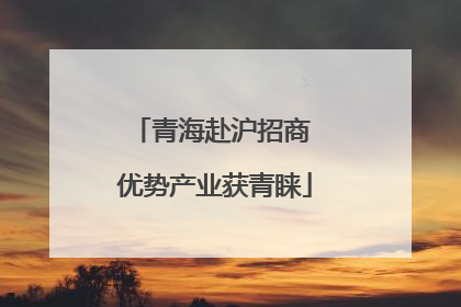 青海赴沪招商 优势产业获青睐