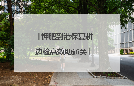 钾肥到港保夏耕 边检高效助通关