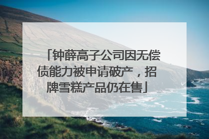 钟薛高子公司因无偿债能力被申请破产，招牌雪糕产品仍在售