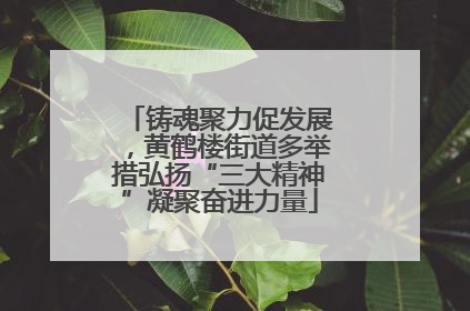 铸魂聚力促发展，黄鹤楼街道多举措弘扬“三大精神”凝聚奋进力量