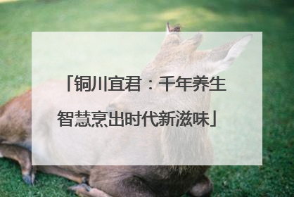 铜川宜君：千年养生智慧烹出时代新滋味