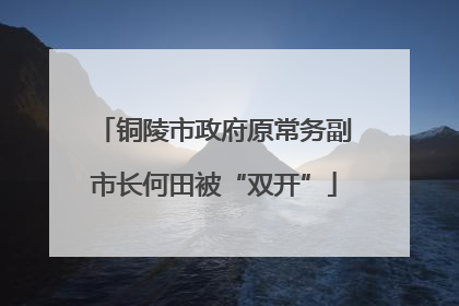 铜陵市政府原常务副市长何田被“双开”