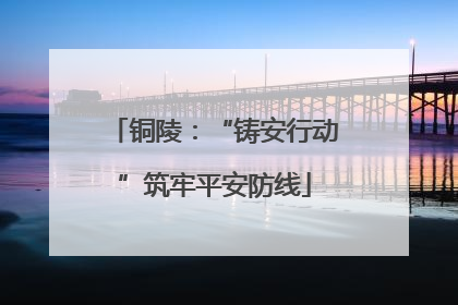 铜陵：“铸安行动”筑牢平安防线