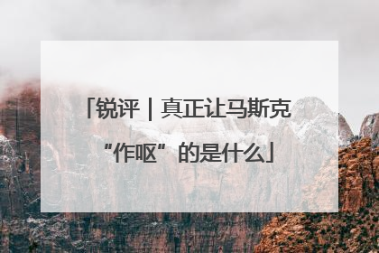 锐评｜真正让马斯克“作呕”的是什么