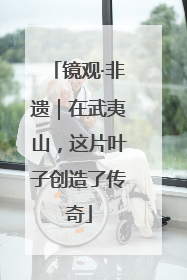 镜观·非遗｜在武夷山，这片叶子创造了传奇