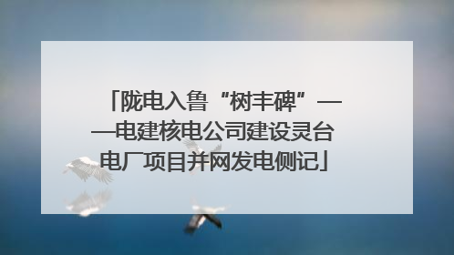陇电入鲁“树丰碑”——电建核电公司建设灵台电厂项目并网发电侧记
