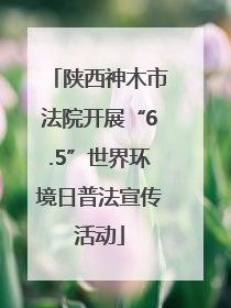 陕西神木市法院开展“6.5”世界环境日普法宣传活动