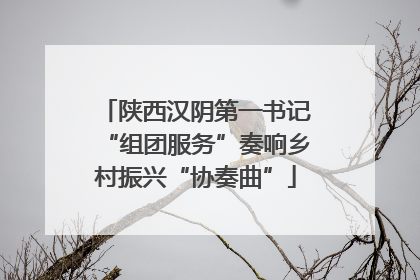 陕西汉阴第一书记“组团服务”奏响乡村振兴“协奏曲”