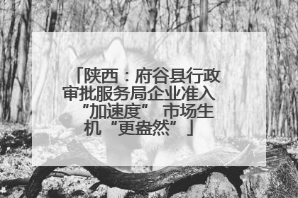 陕西：府谷县行政审批服务局企业准入“加速度” 市场生机“更盎然”