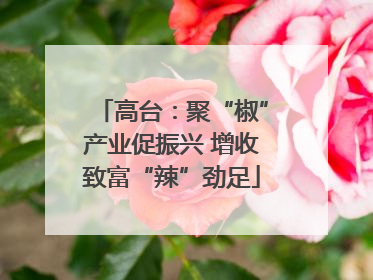 高台：聚“椒”产业促振兴 增收致富“辣”劲足