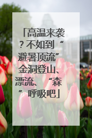 高温来袭？不如到“避暑顶流”金洞登山、漂流、“森”呼吸吧