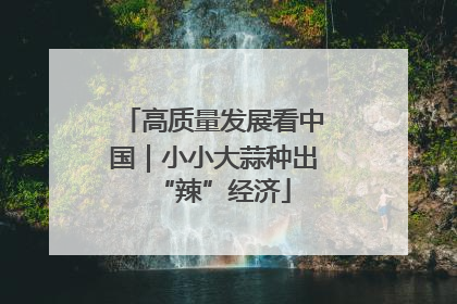 高质量发展看中国｜小小大蒜种出“辣”经济