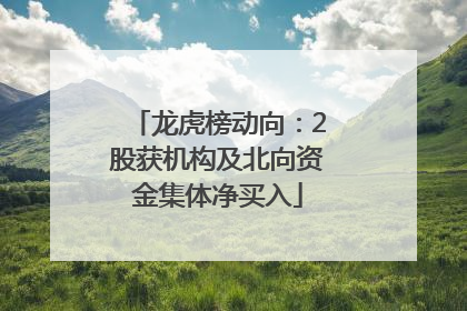 龙虎榜动向：2股获机构及北向资金集体净买入