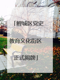 鲤城区党史教育文化街区正式揭牌