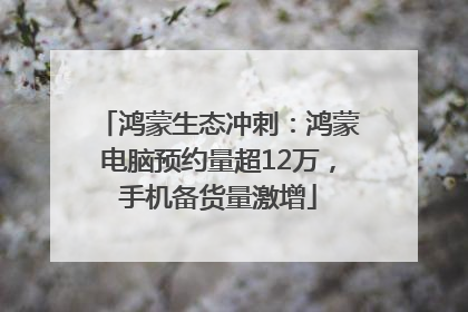 鸿蒙生态冲刺：鸿蒙电脑预约量超12万，手机备货量激增
