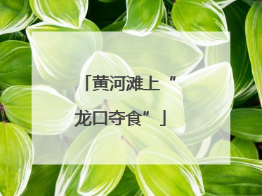 黄河滩上“龙口夺食”