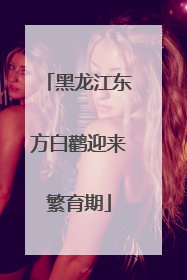 黑龙江东方白鹳迎来繁育期