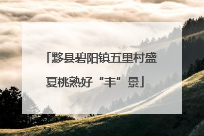 黟县碧阳镇五里村盛夏桃熟好“丰”景