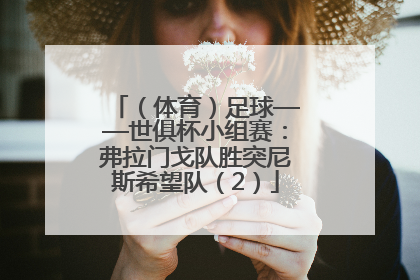 （体育）足球——世俱杯小组赛：弗拉门戈队胜突尼斯希望队（2）