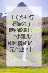 （乡村行·看振兴）陕西略阳：“小瓢儿”如何撬动亿元产业？