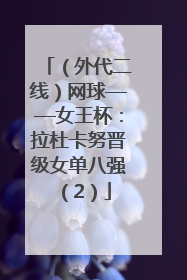 （外代二线）网球——女王杯：拉杜卡努晋级女单八强（2）