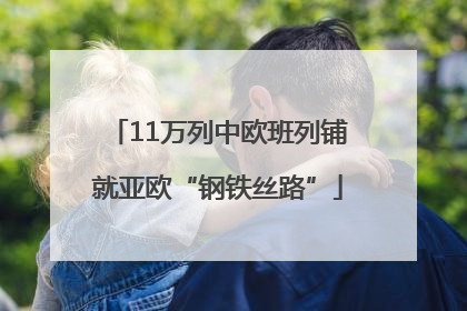 11万列中欧班列铺就亚欧“钢铁丝路”