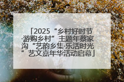 2025“乡村好时节·游购乡村”主题年蔡家沟“艺韵乡集·乐活时光”艺文嘉年华活动启幕