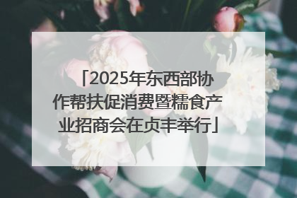 2025年东西部协作帮扶促消费暨糯食产业招商会在贞丰举行