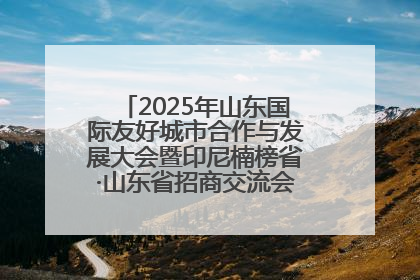2025年山东国际友好城市合作与发展大会暨印尼楠榜省·山东省招商交流会在济南槐荫举行