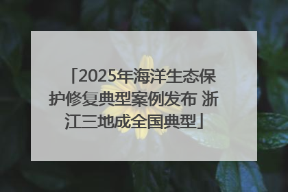 2025年海洋生态保护修复典型案例发布 浙江三地成全国典型