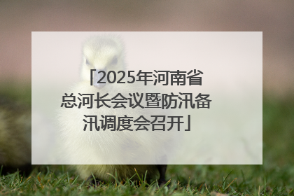 2025年河南省总河长会议暨防汛备汛调度会召开
