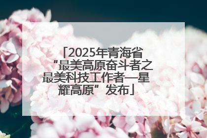 2025年青海省“最美高原奋斗者之最美科技工作者—星耀高原”发布