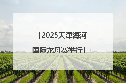2025天津海河国际龙舟赛举行
