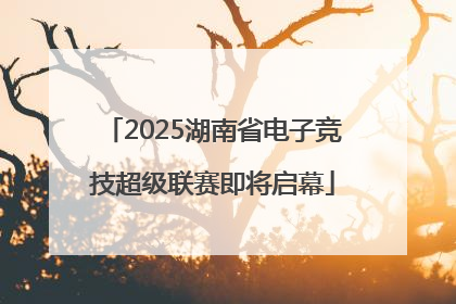 2025湖南省电子竞技超级联赛即将启幕
