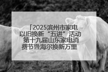 2025滨州市家电以旧换新“五进”活动 第十九届山东家电消费节暨海尔换新万里 行山东站全面启动
