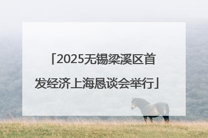 2025无锡梁溪区首发经济上海恳谈会举行