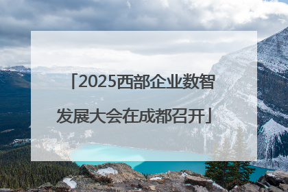 2025西部企业数智发展大会在成都召开