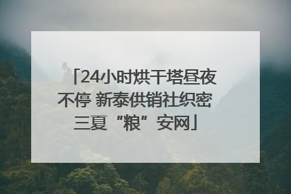 24小时烘干塔昼夜不停 新泰供销社织密三夏“粮”安网