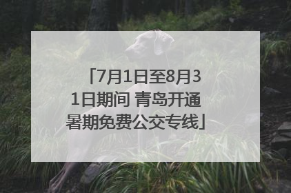7月1日至8月31日期间 青岛开通暑期免费公交专线