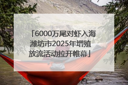 6000万尾对虾入海 潍坊市2025年增殖放流活动拉开帷幕